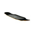 DB - Rumba 45"